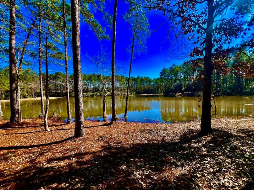 6FD45145-5365-48DA-9170-60EFF006CB87_1_201_a