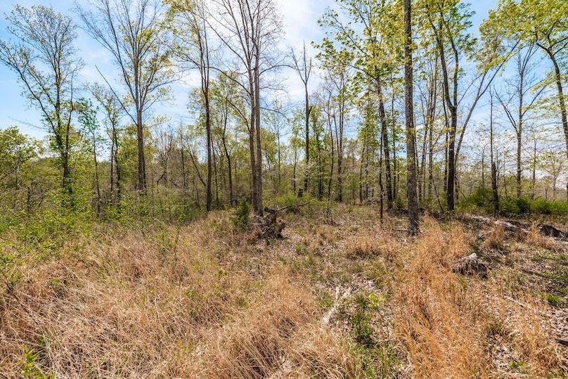 50-web-or-mls-0 Mound Creek Rd-20