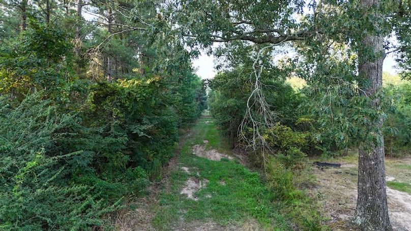 Ashley Co-40-Givens-49