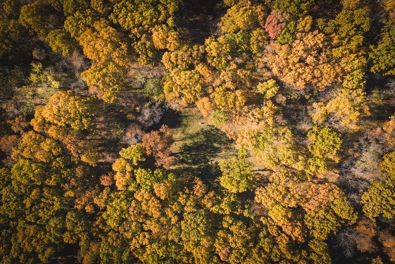 DJI_20251107112640_0860_D-HDR