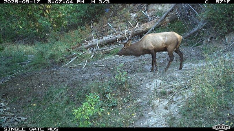 41577139-3542-458B-B096-D6161CB72500