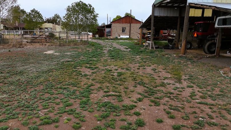 Home and Hobby Farm36