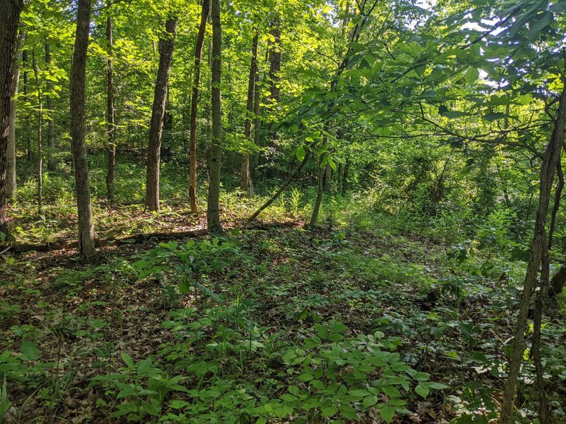 PXL_20230602_133009453