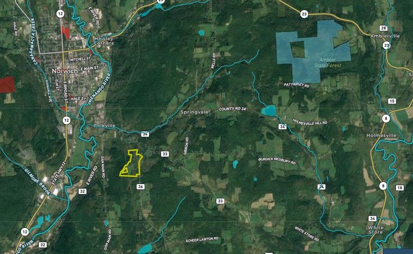 Chenango 76.39 Miller Wide Area