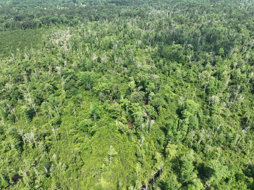 dji_fly_20230516_110130_121_1684333448245_photo