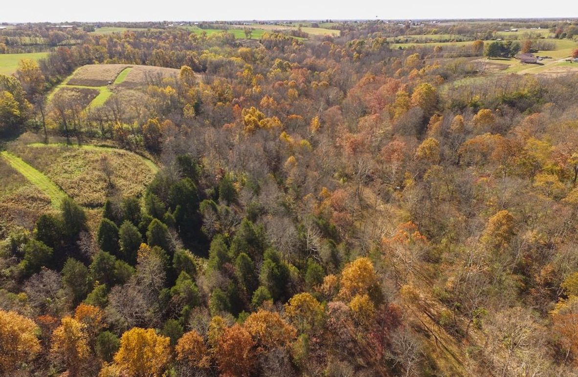 Fleming Petry 115-03