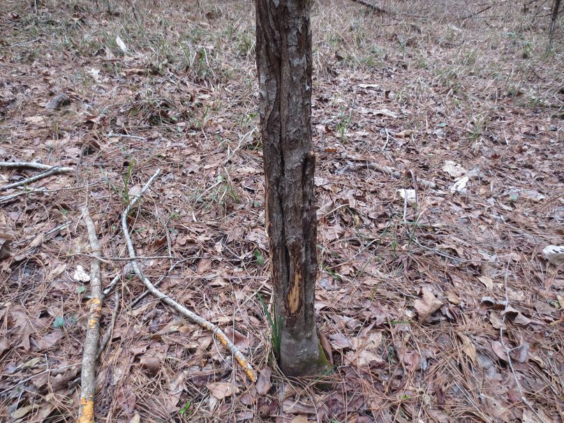 712D58D3-272A-4206-9038-954885A97500