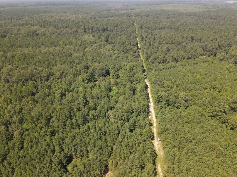 DJI_0905