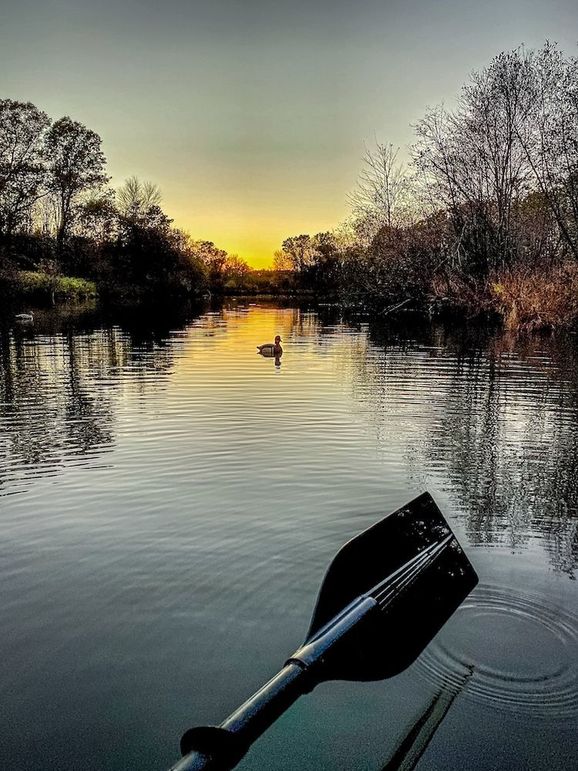 Adams 263.17, Hale -14