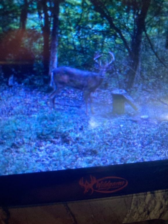 46994CC6-8D62-4BD3-AEC9-17B36F6C8259