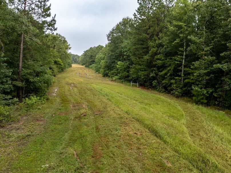 26 Panola Co. 40ac - Rouse-32