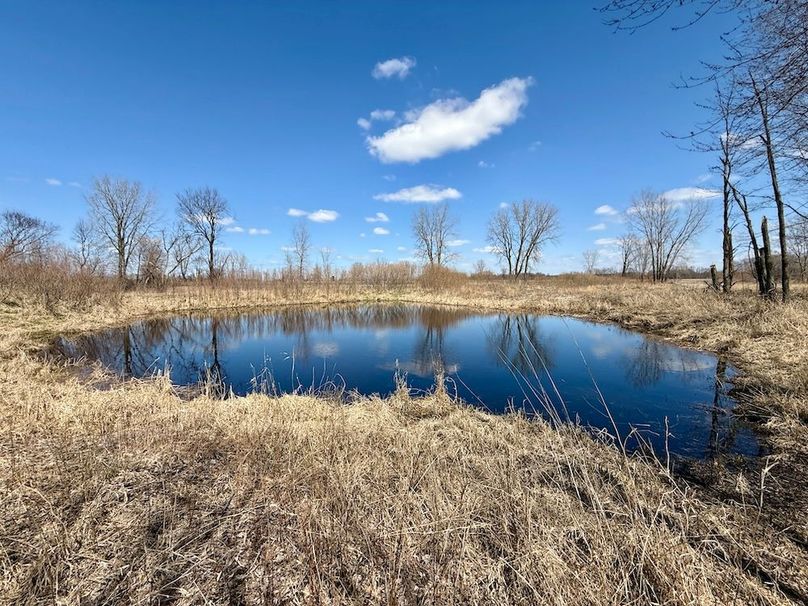 31 West Pond