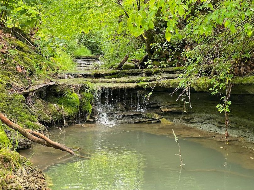 015 the seasonal stream along Jess Ray Road in the middle of the property copy