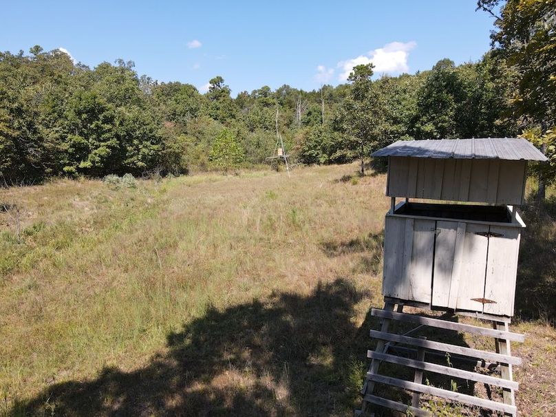 dji_fly_20250902_122054_753_1756833665787_photo