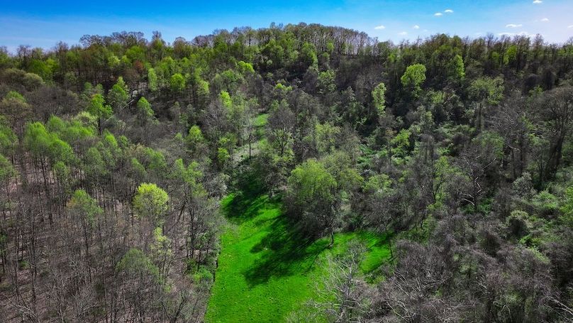 DJI_20250425040603_0431_D