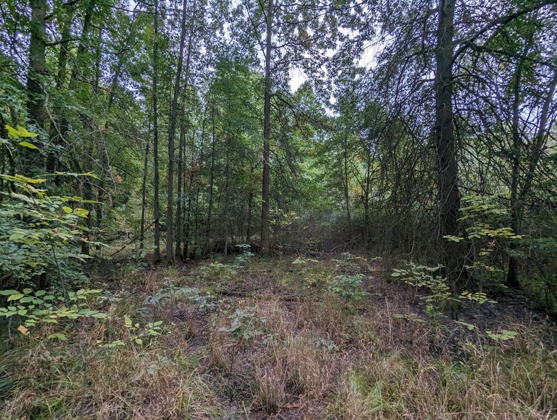 PXL_20230925_225945163