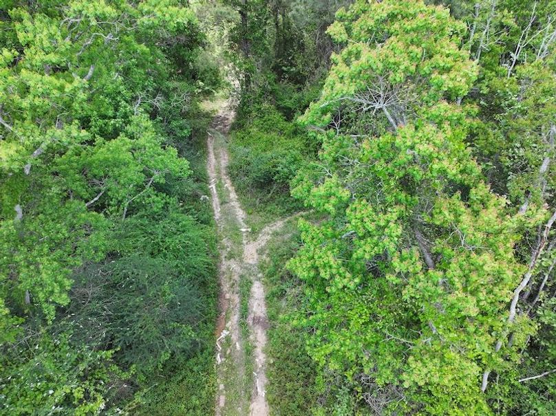 dji_fly_20260413_114324_0034_1776114936234_photo