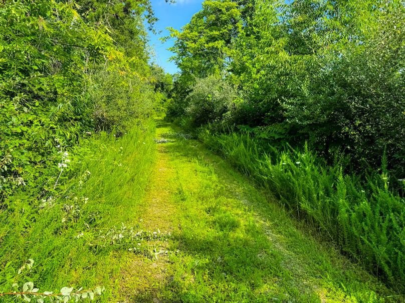 Lewis, WV 82.87 AC Barger-119