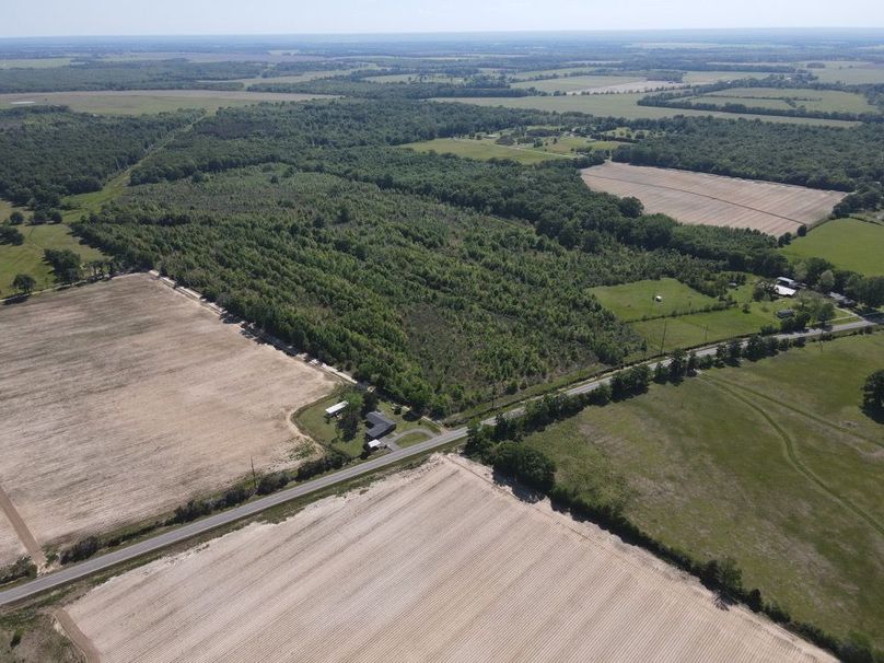 dji_fly_20250414_154412_546_1744663465339_photo