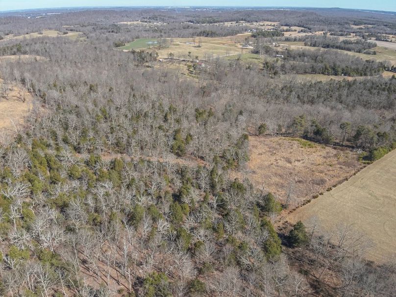 4-DJI_20260228121052_0010_W