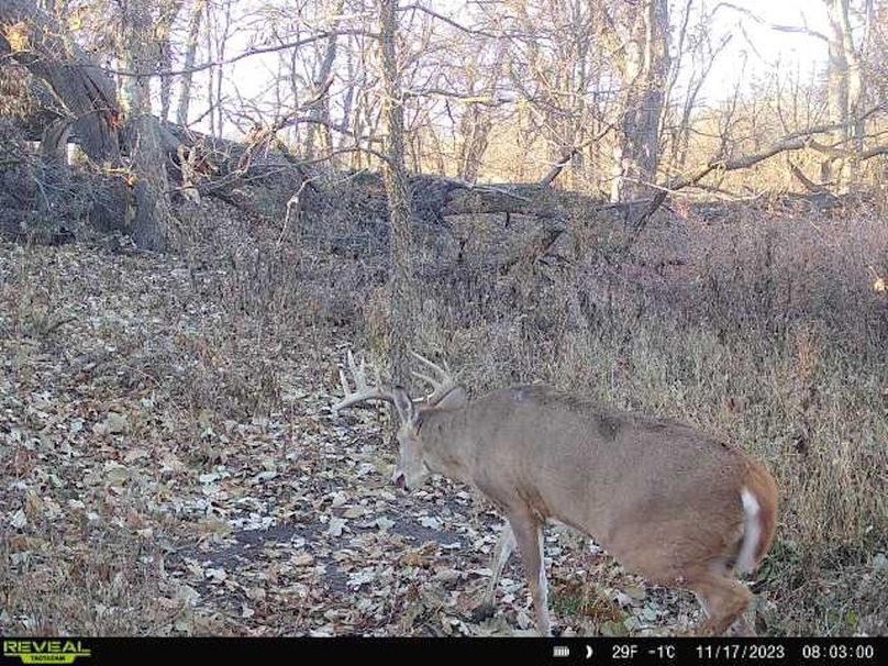 864049057339675-90-3-11172023080300-W1000328