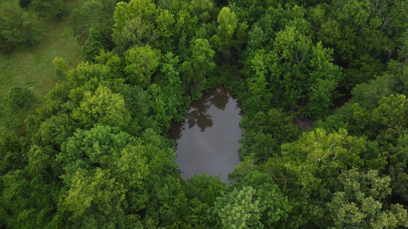 DJI_0683