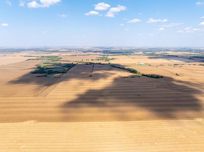 Copy of Whiteside 181_17