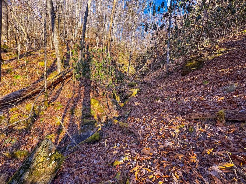 Calhoun, WV 136 AC Szegi-240