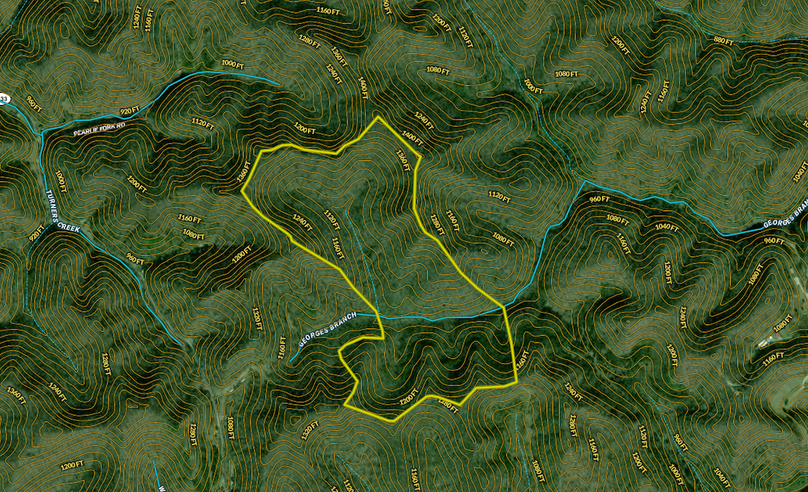 Screenshot 2024-07-15 at 4.05.10 PM