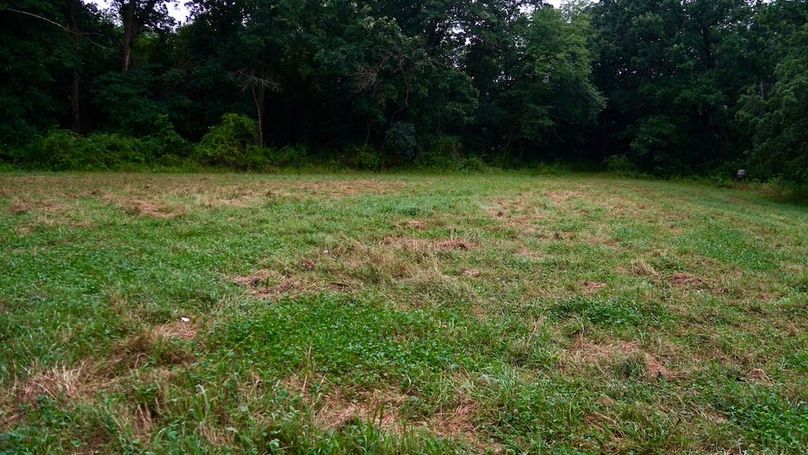 6269E887-481E-4825-A0A5-E757B941E1ED_1_105_c