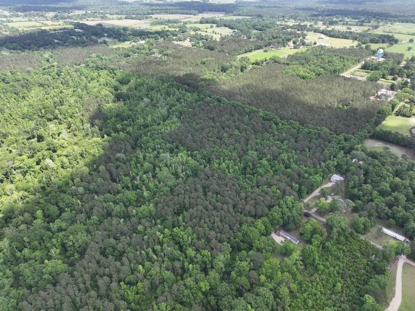 dji_fly_20260413_103740_0007_1776114944396_photo