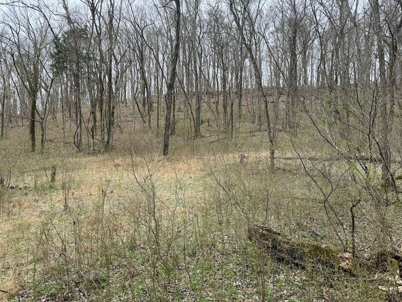 Maury Co TN 102 Bowers Pic4jpeg