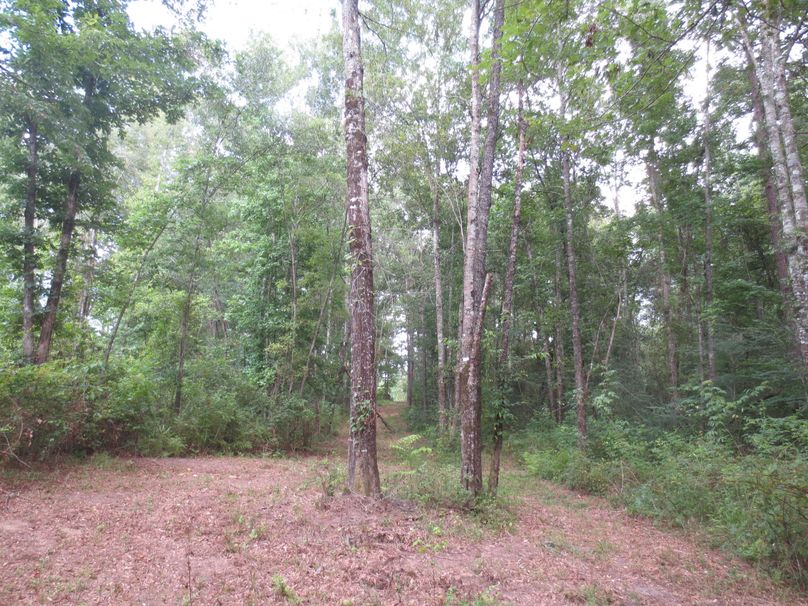 F6112FD6-4B4D-4703-819D-CAC00FEE8865