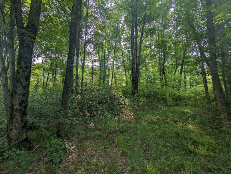 PXL_20230801_150433679