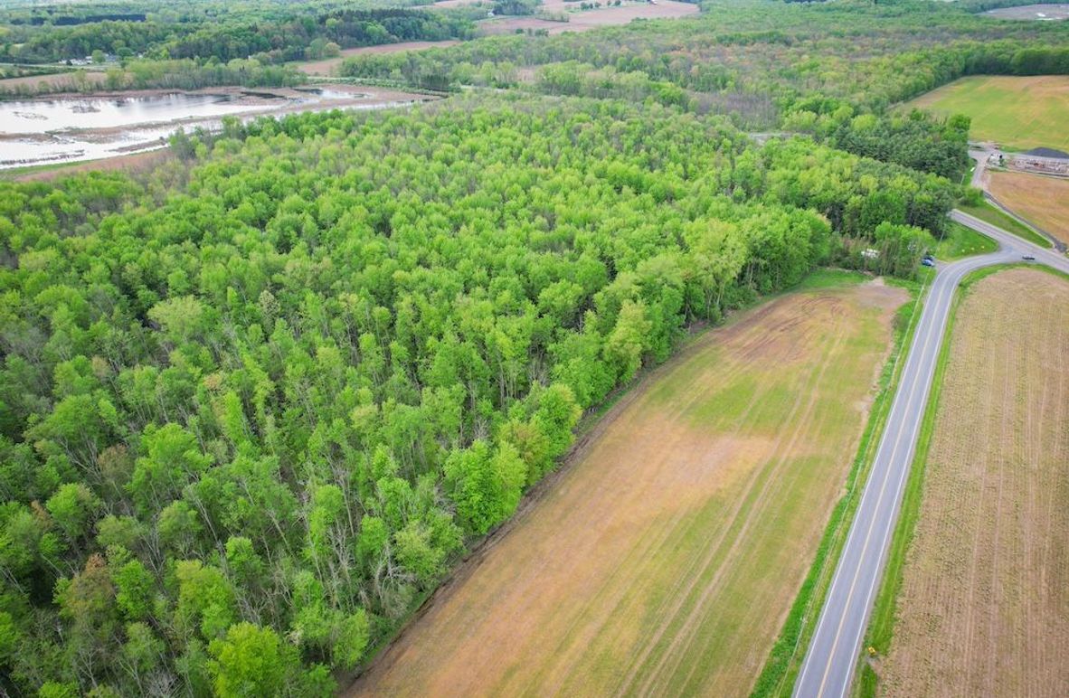 Wayne_85.97_King_Photos_3