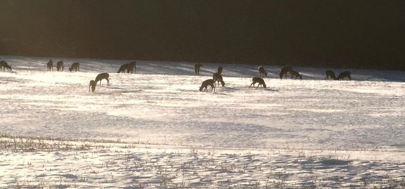 24420cd7-9b6b-4a47-a46d-fcbb0294a836