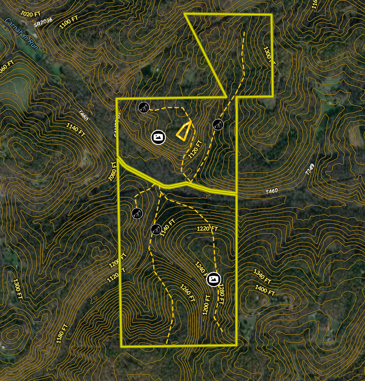 Screen Shot 2023-02-28 at 11.50.47 AM