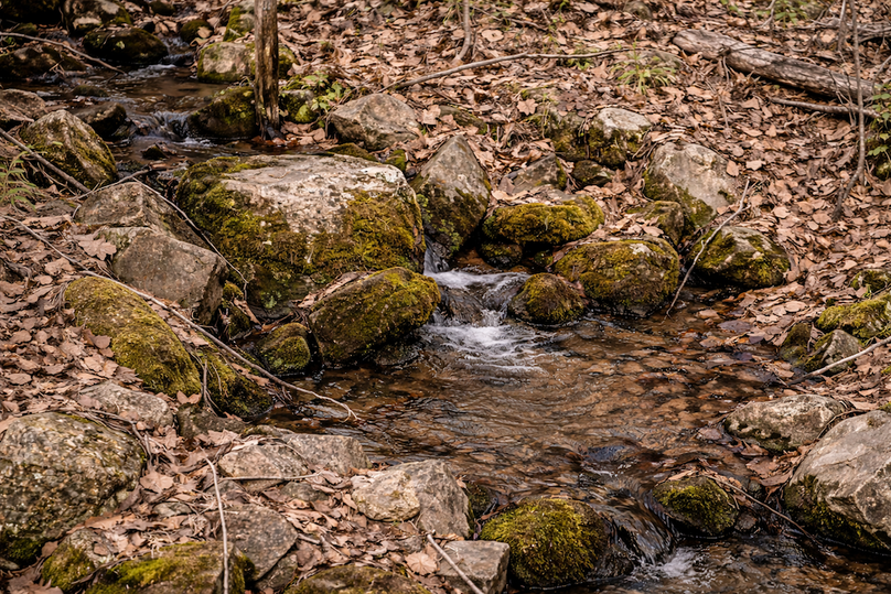 ChatGPT Image Mar 30, 2026, 12_17_37 PM