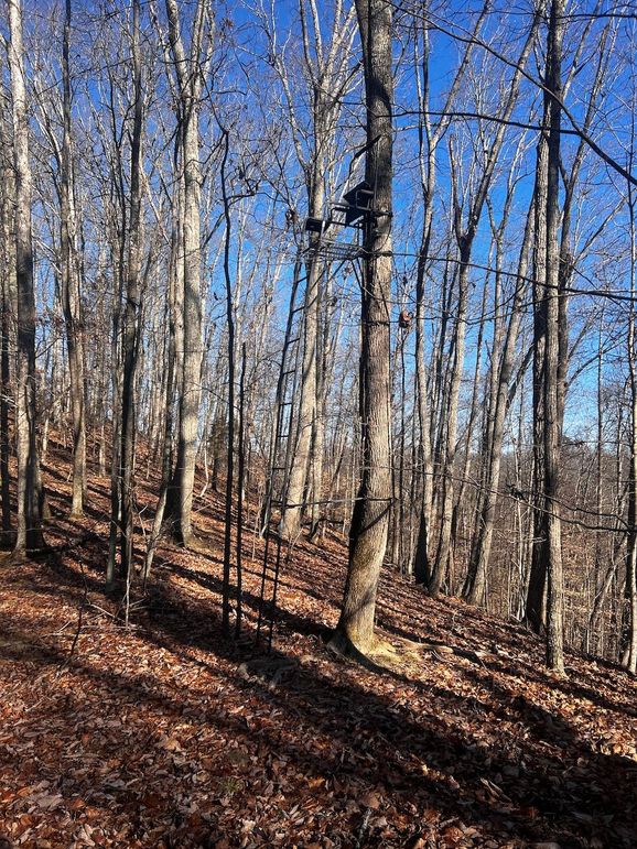 69626742341__6939D981-3FC3-424A-801C-881C89B60262