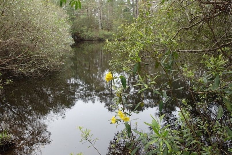 5E77D297-DA0F-42F2-BF81-E165695A5C62_1_105_c-2