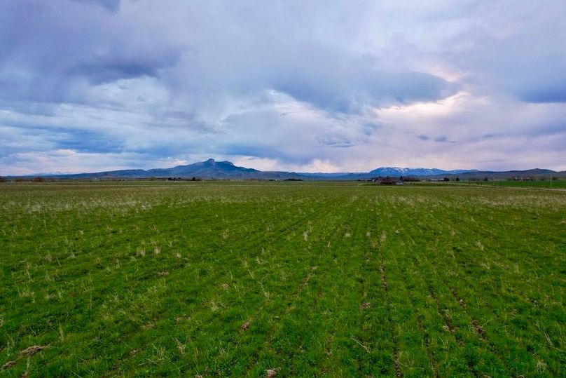 EDDFAB3B-7B73-46F4-BEC2-05B633D01469_1_105_c