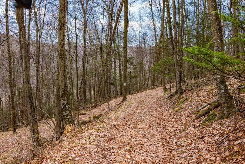 55-web-or-mls-IMG-55