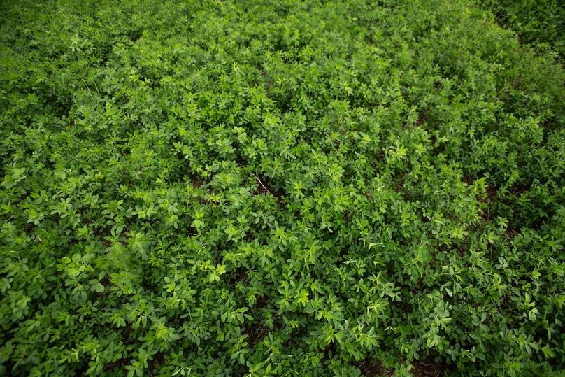 FREMONT CO IA 10.25_21