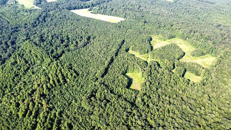 dji_fly_20250726_090816_501_1753535313424_photo_optimized