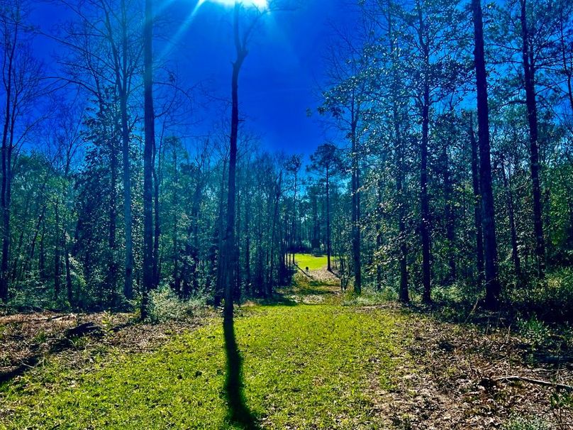 BB480B5F-1C5A-4333-BD2A-52AA0EF89A39_1_201_a