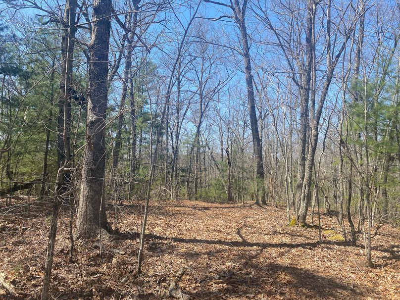 Cherokee 69.74 Stiles-32