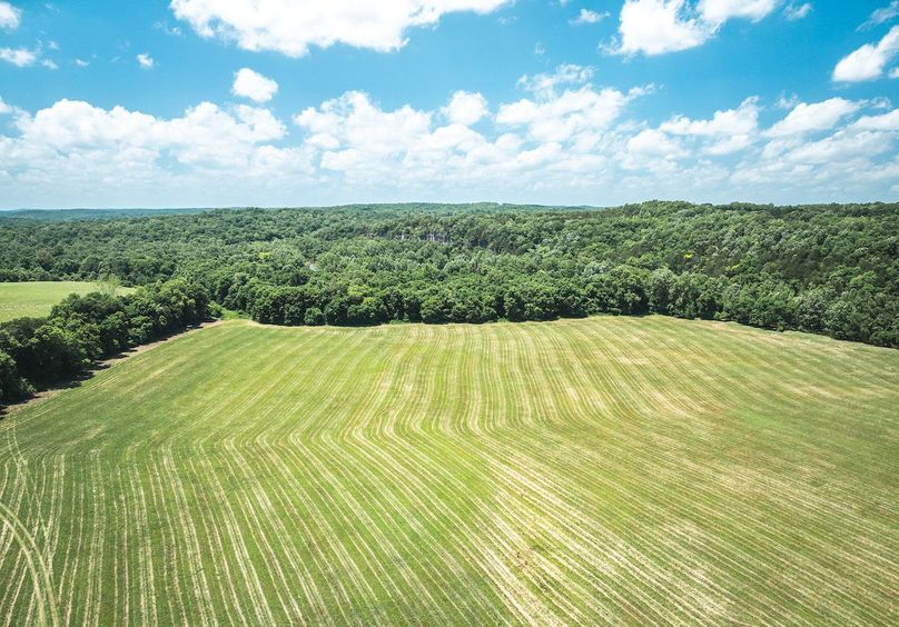 DJI_20250621133839_0635_D