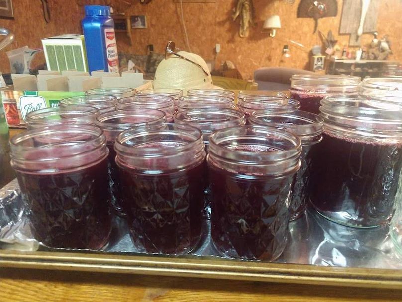 IMG_20210703_165624894