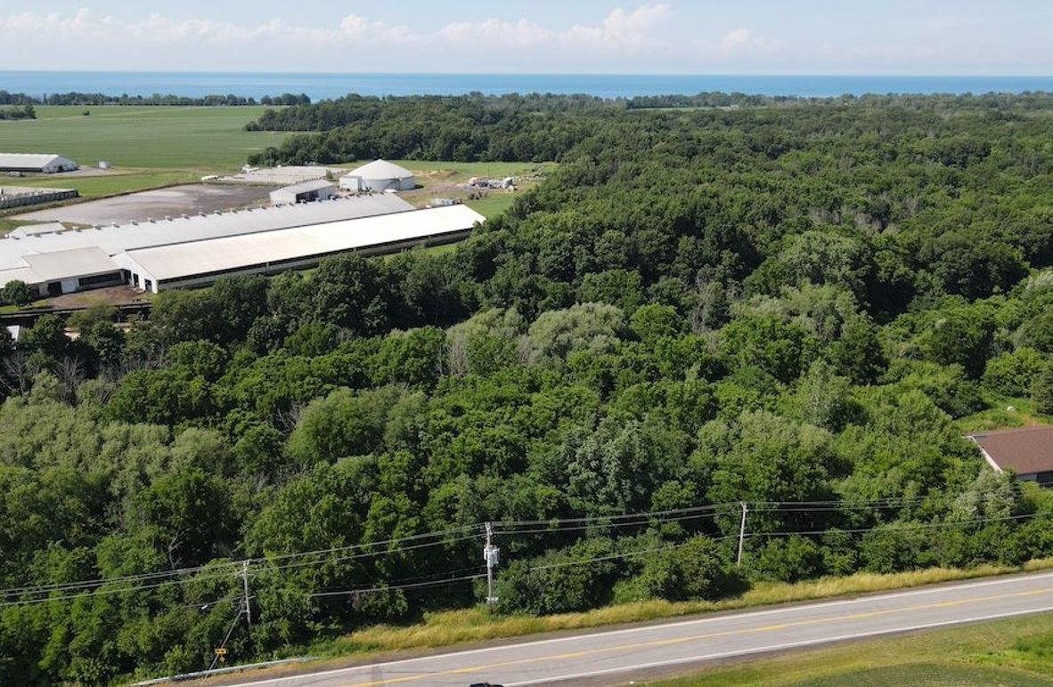 1 dji_fly_20250713_155816_83_1752436714324_photo