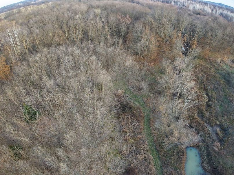 DJI_20260104162839_0523_D